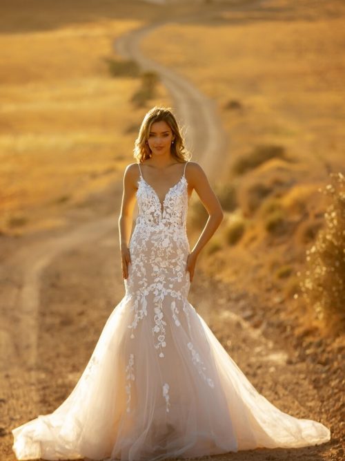 Brautkleid, Hochzeitskleid